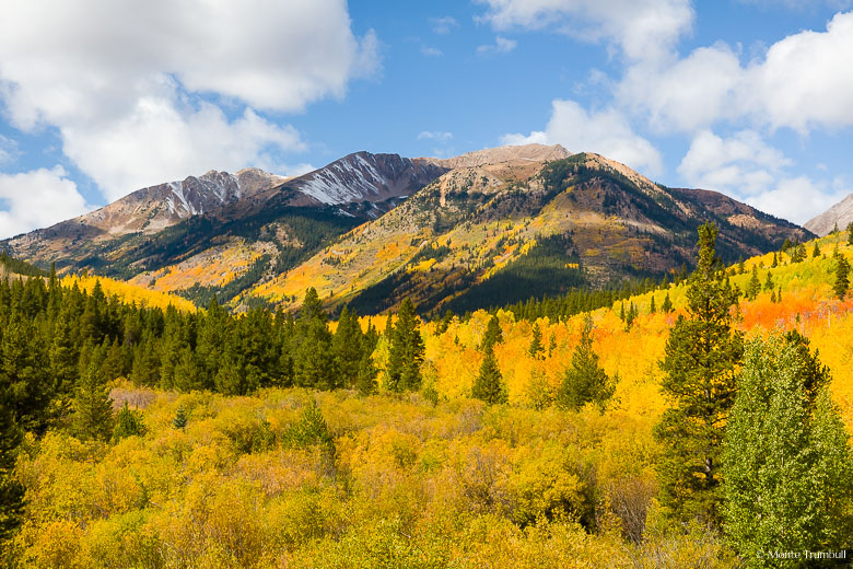 Summer gives way to autumn and Virginia Peak is dusted with snow and the valley below is filled with golden aspens and underbrush in the San Isabel National Forest outside of the old mining town of Winfield.